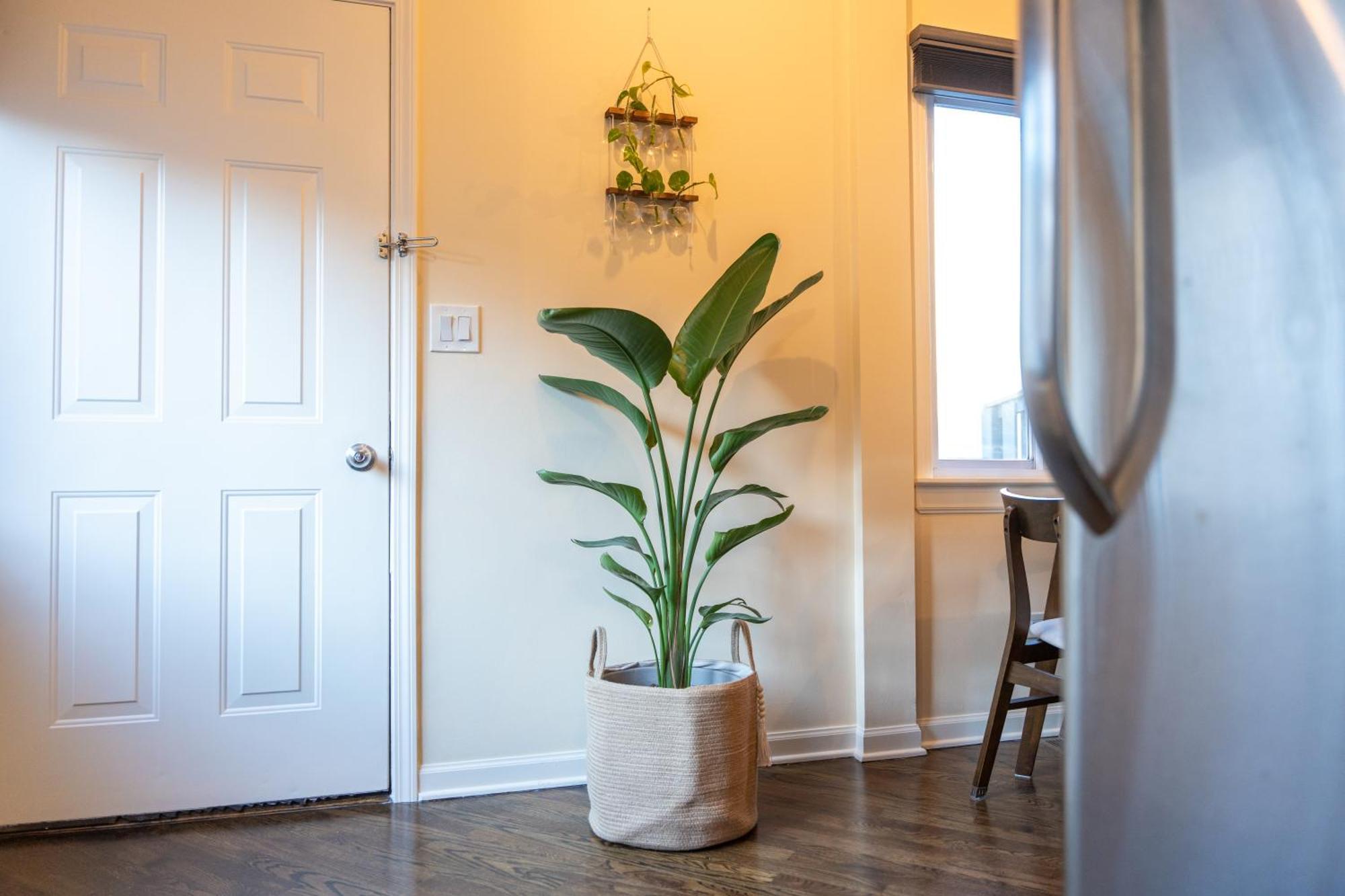 Bucktown Private Condo 芝加哥 外观 照片